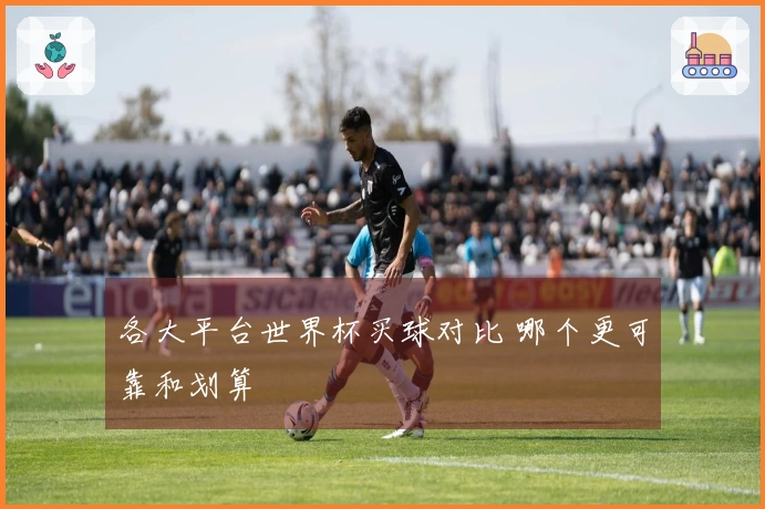 各大平台世界杯买球对比 哪个更可靠和划算