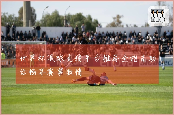 世界杯滚球竞猜平台推荐全指南助你畅享赛事激情