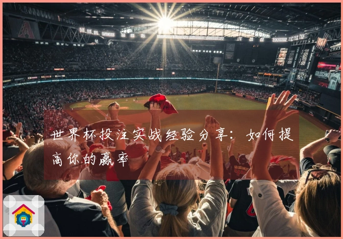 世界杯投注实战经验分享:如何提高你的赢率