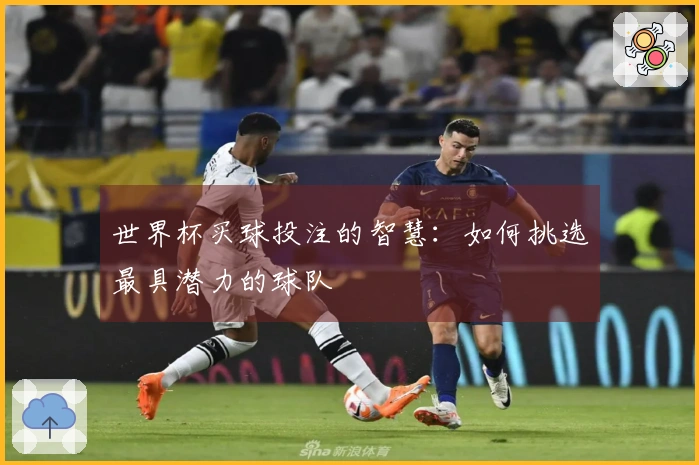 世界杯买球投注的智慧：如何挑选最具潜力的球队