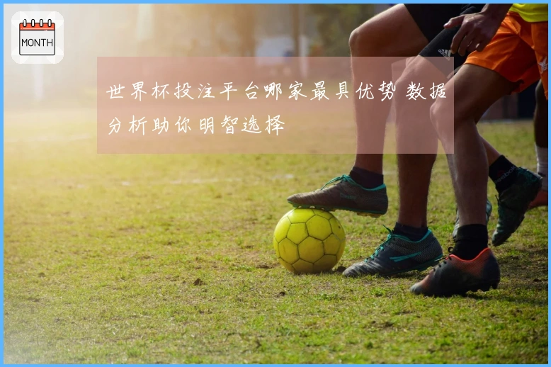 世界杯投注平台哪家最具优势 数据分析助你明智选择