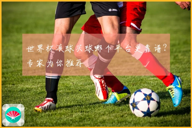 世界杯滚球买球哪个平台更靠谱？专家为你推荐