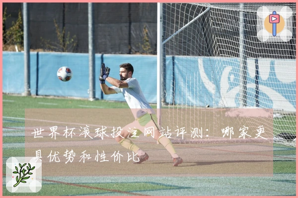 世界杯滚球投注网站评测：哪家更具优势和性价比
