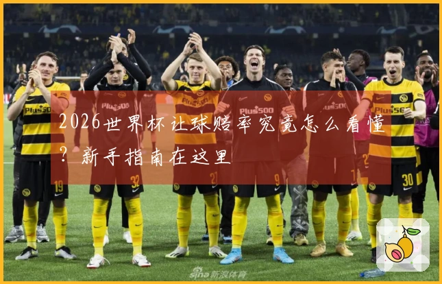 2026世界杯让球赔率究竟怎么看懂？新手指南在这里
