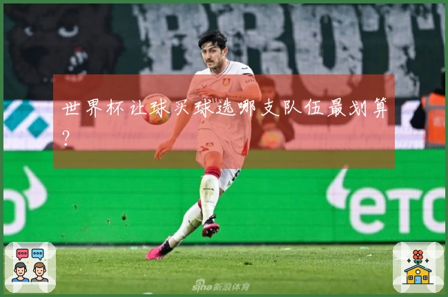 世界杯让球买球选哪支队伍最划算？