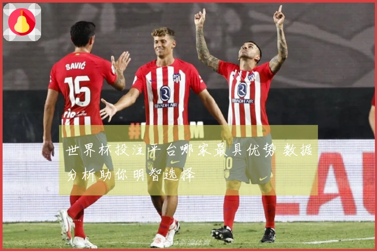 世界杯投注平台哪家最具优势 数据分析助你明智选择