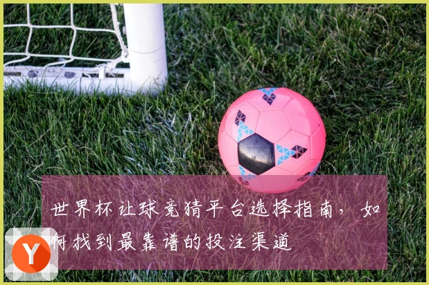 世界杯让球竞猜平台选择指南，如何找到最靠谱的投注渠道