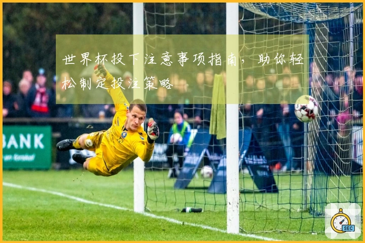 世界杯投下注意事项指南，助你轻松制定投注策略