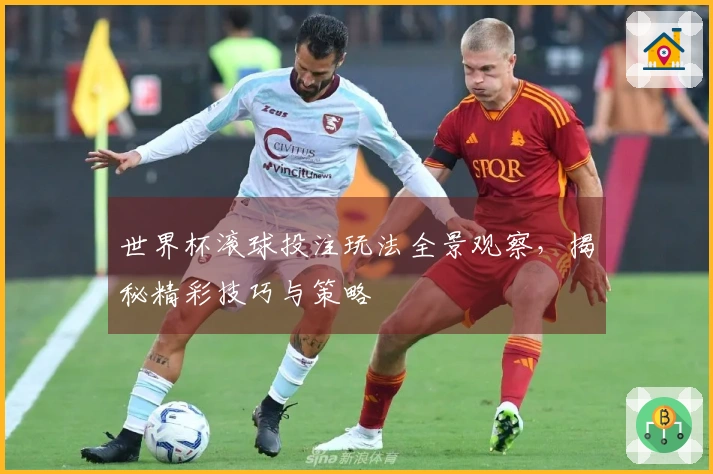 世界杯滚球投注玩法全景观察，揭秘精彩技巧与策略