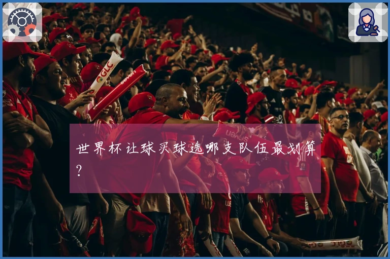 世界杯让球买球选哪支队伍最划算？