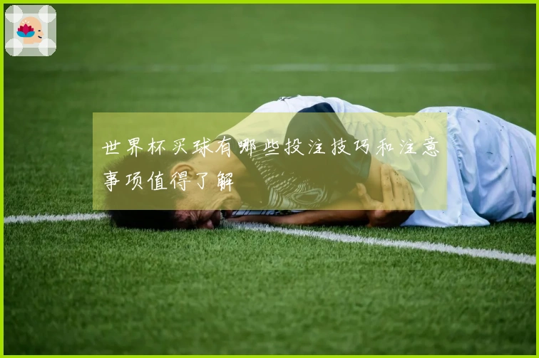 世界杯买球有哪些投注技巧和注意事项值得了解